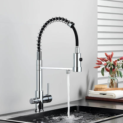 Robinet Extractible – Tête Rétractable à Double Jet