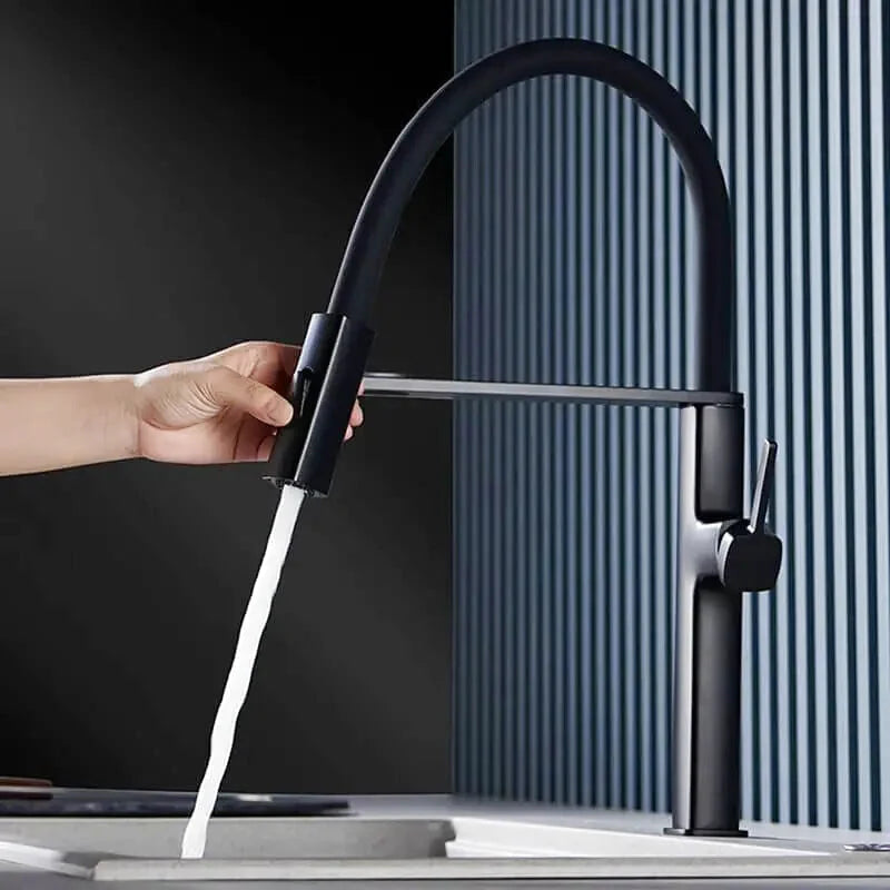 Robinet de Cuisine Haut de Gamme - En Laiton à Double Fonction