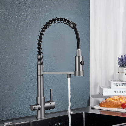 Robinet Extractible – Tête Rétractable à Double Jet