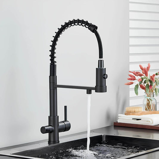 Robinet Extractible – Tête Rétractable à Double Jet